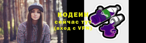 СК Каменногорск