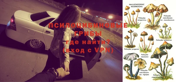 соль ск Каменка