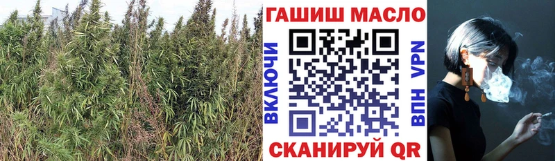 ТГК вейп с тгк  Купить где  Енисейск 
