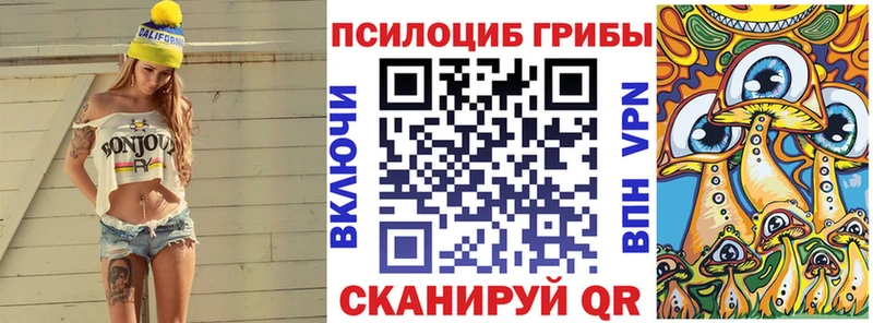 Псилоцибиновые грибы Psilocybine cubensis  Купить закладки  Енисейск 