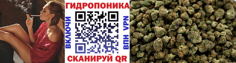 Купить где Енисейск Бошки марихуана Ganja